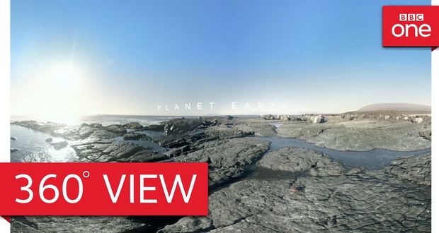 تماشا کنید: گریزی بر فصل دوم مستند سیاره زمین با ویدیوی 360 درجه