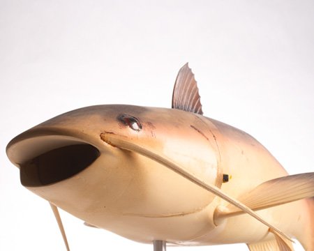 ماهی رباتی شکل
