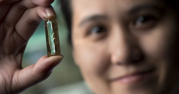 کشف اتفاقی یک نانو باتری خاص با طول عمری باورنکردنی