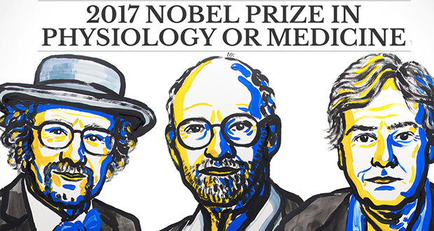 جایزه نوبل پزشکی 2017 به سه دانشمند از کشور آمریکا رسید